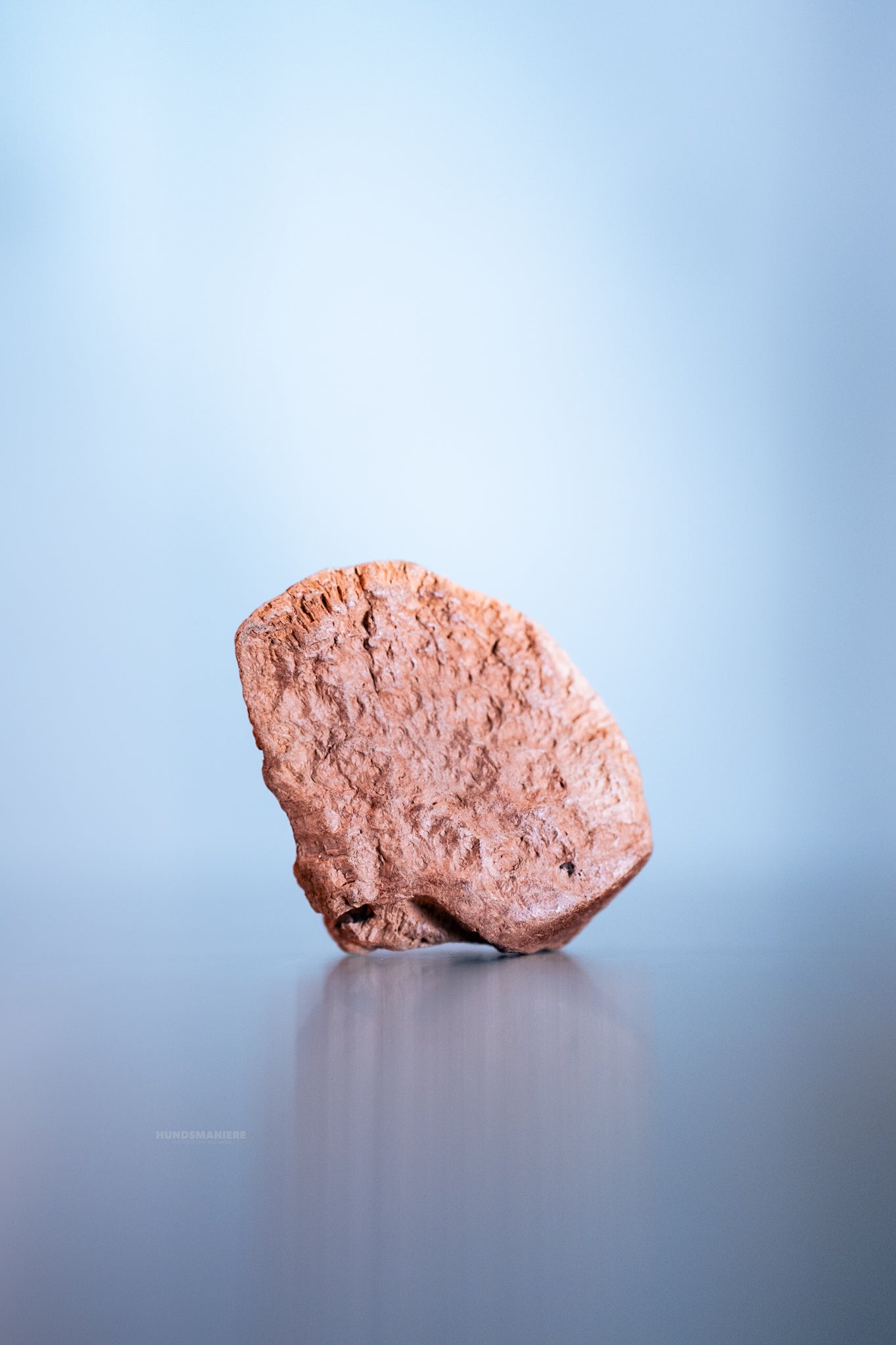 Nez de chèvre (sans fourrure)