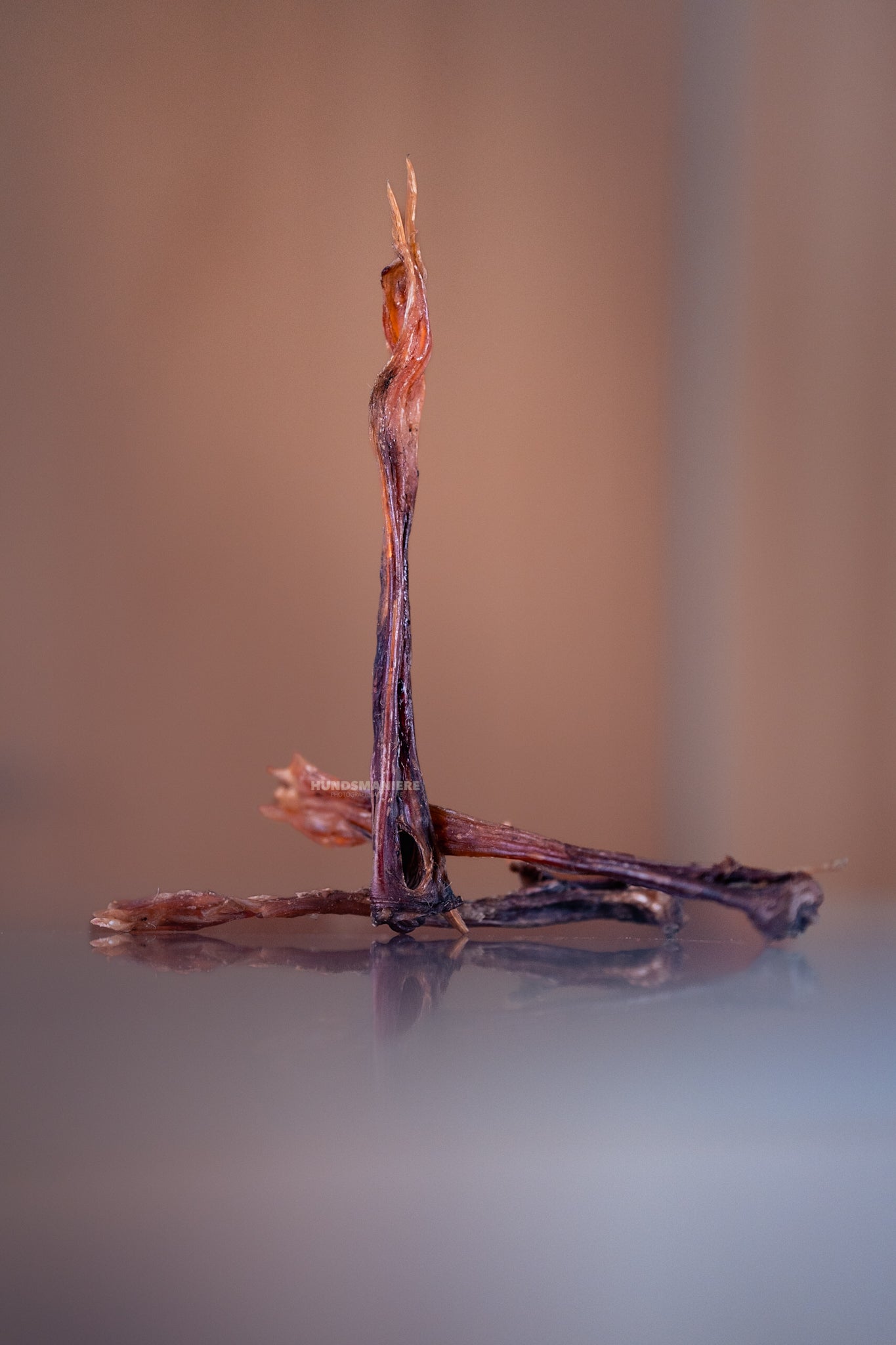 tendons d'Achille de buffle