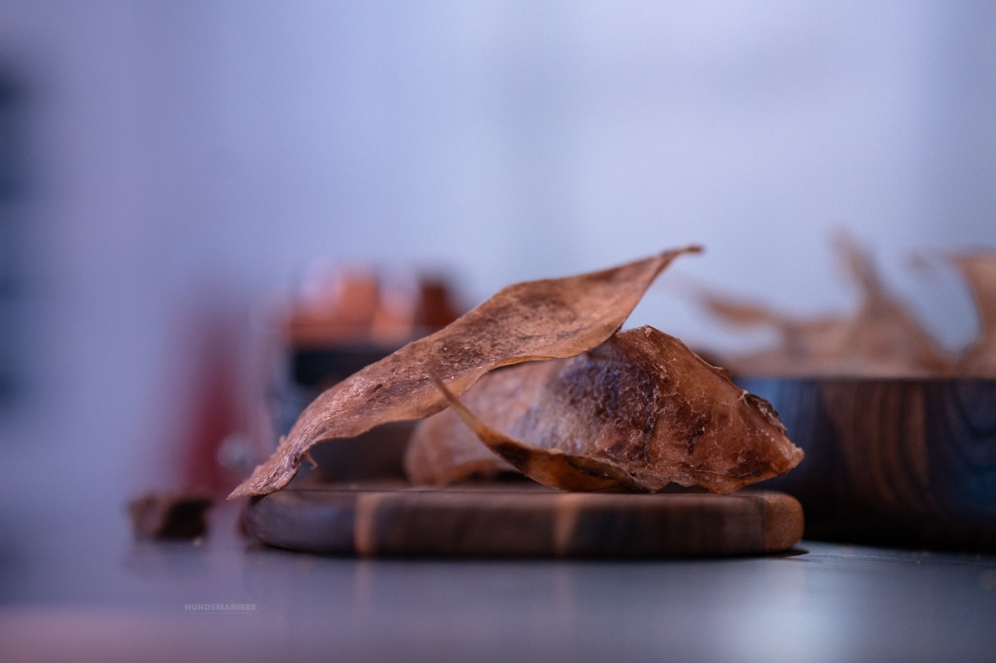 Omoplate de cerf (petite)