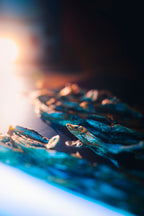 Truite à peau de poisson