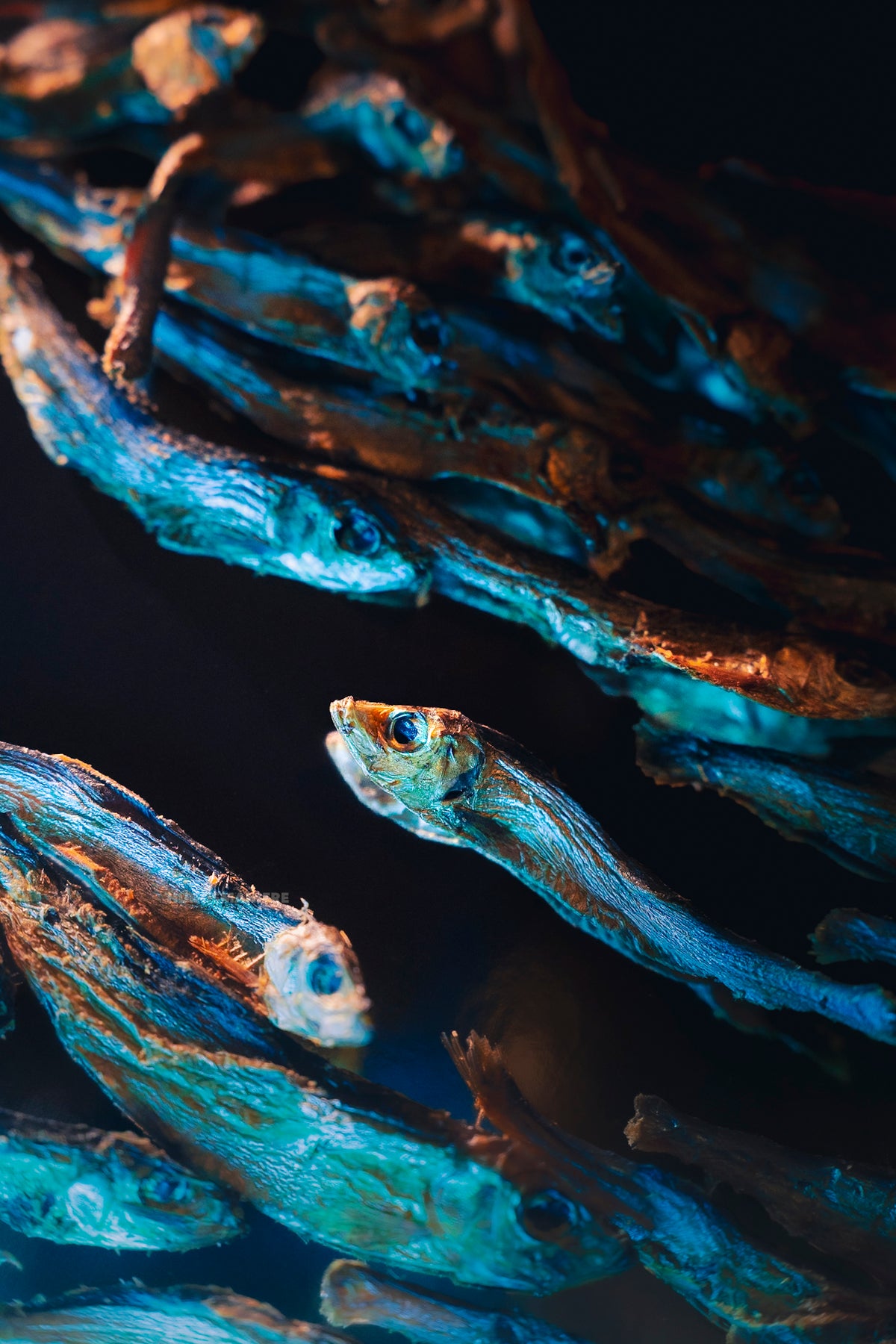 Truite à peau de poisson