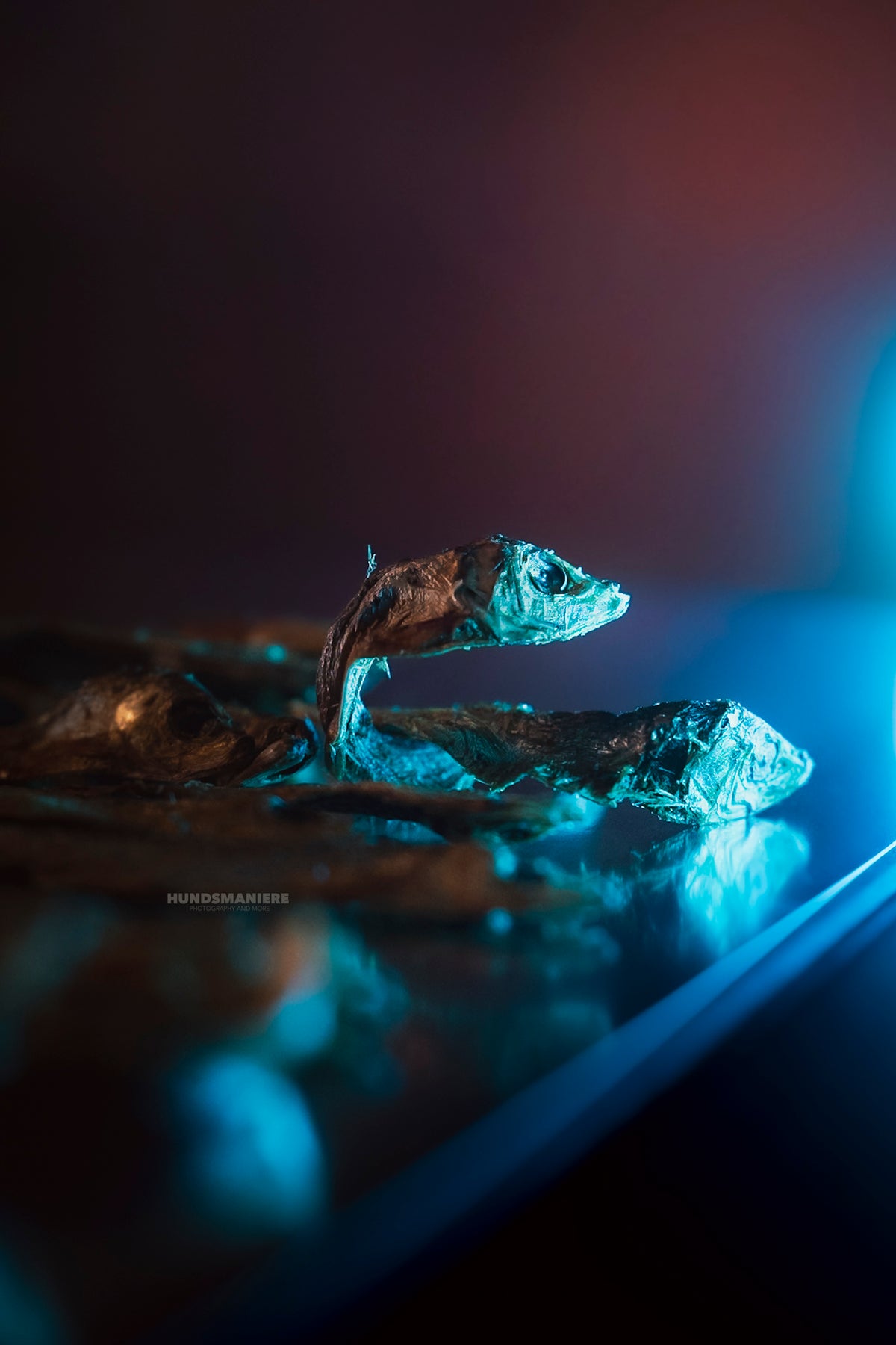Truite à peau de poisson