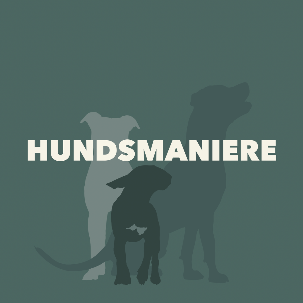 Pferdeunterbein