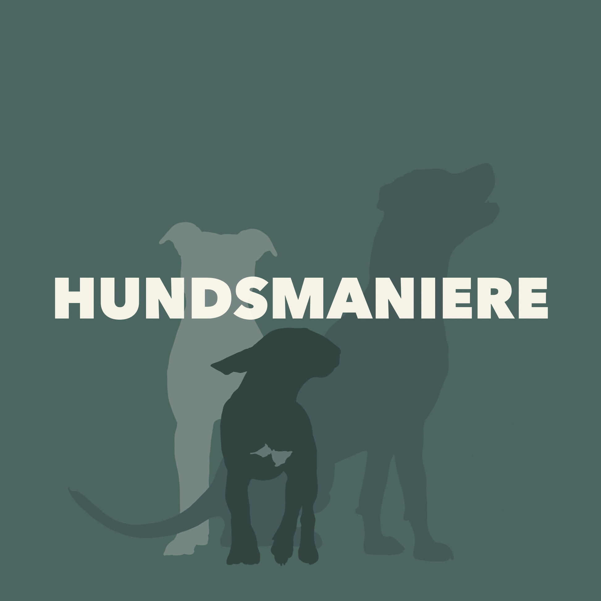 Pferdeunterbein