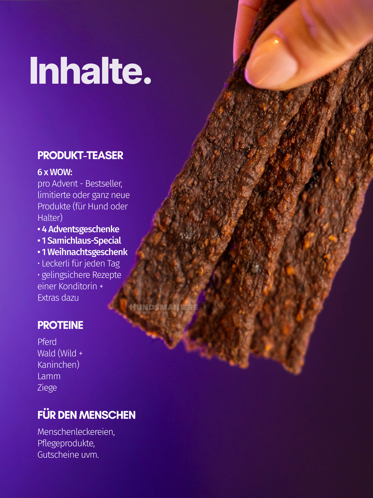HYPOALLERGEN Adventskalender für Hunde - LIMITED 2026 ✨
