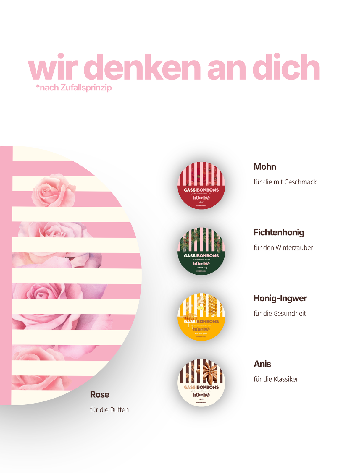 LIGHT Adventskalender für Hunde - LIMITED 2026 ✨