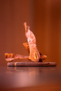 Cuir chevelu de bœuf (coupe courte)