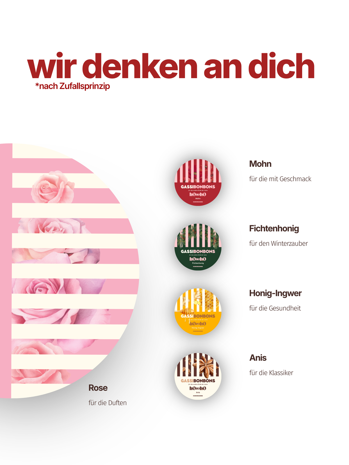 CLASSIC Adventskalender für Hunde - LIMITED 2026 ✨