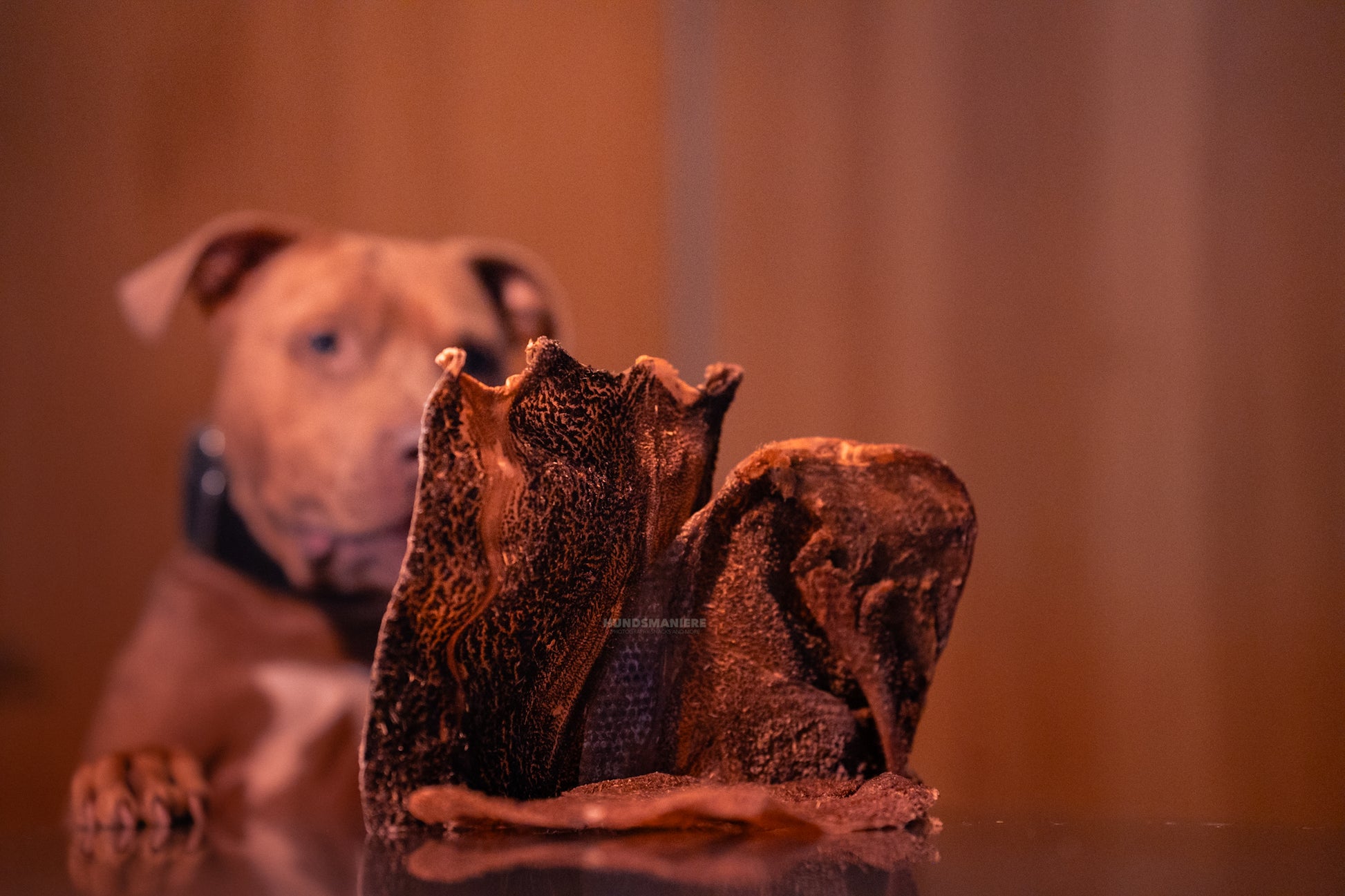 tendons d'Achille de buffle