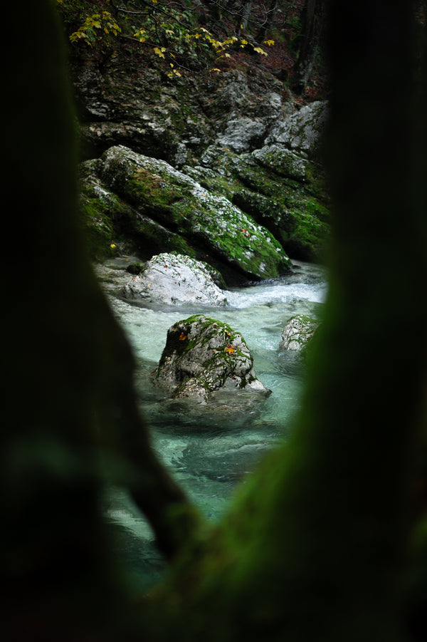 Fond d'écran Un aperçu de Soča