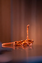 tendons d'Achille de buffle