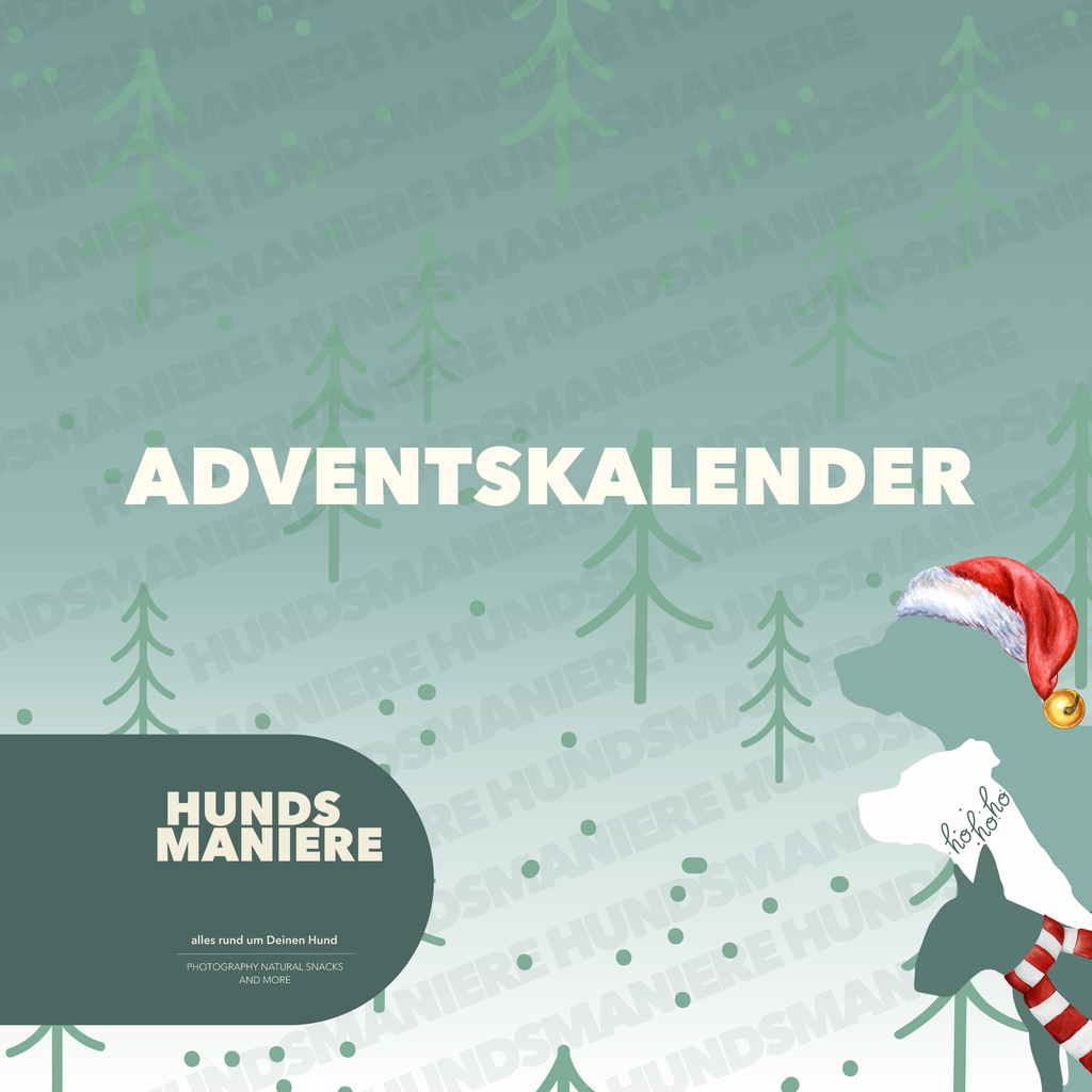 Adventskalender 🎄Classic - LIMITED EDITION ✨