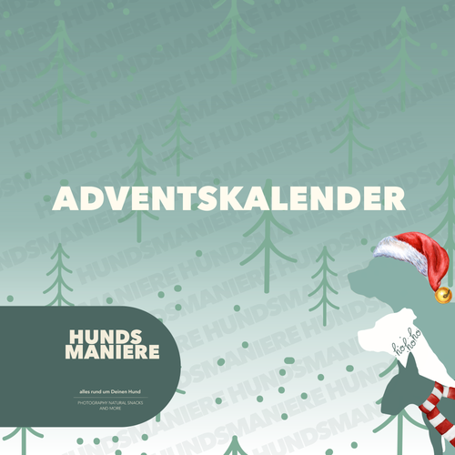 Adventskalender 🎄Classic - LIMITED EDITION ✨