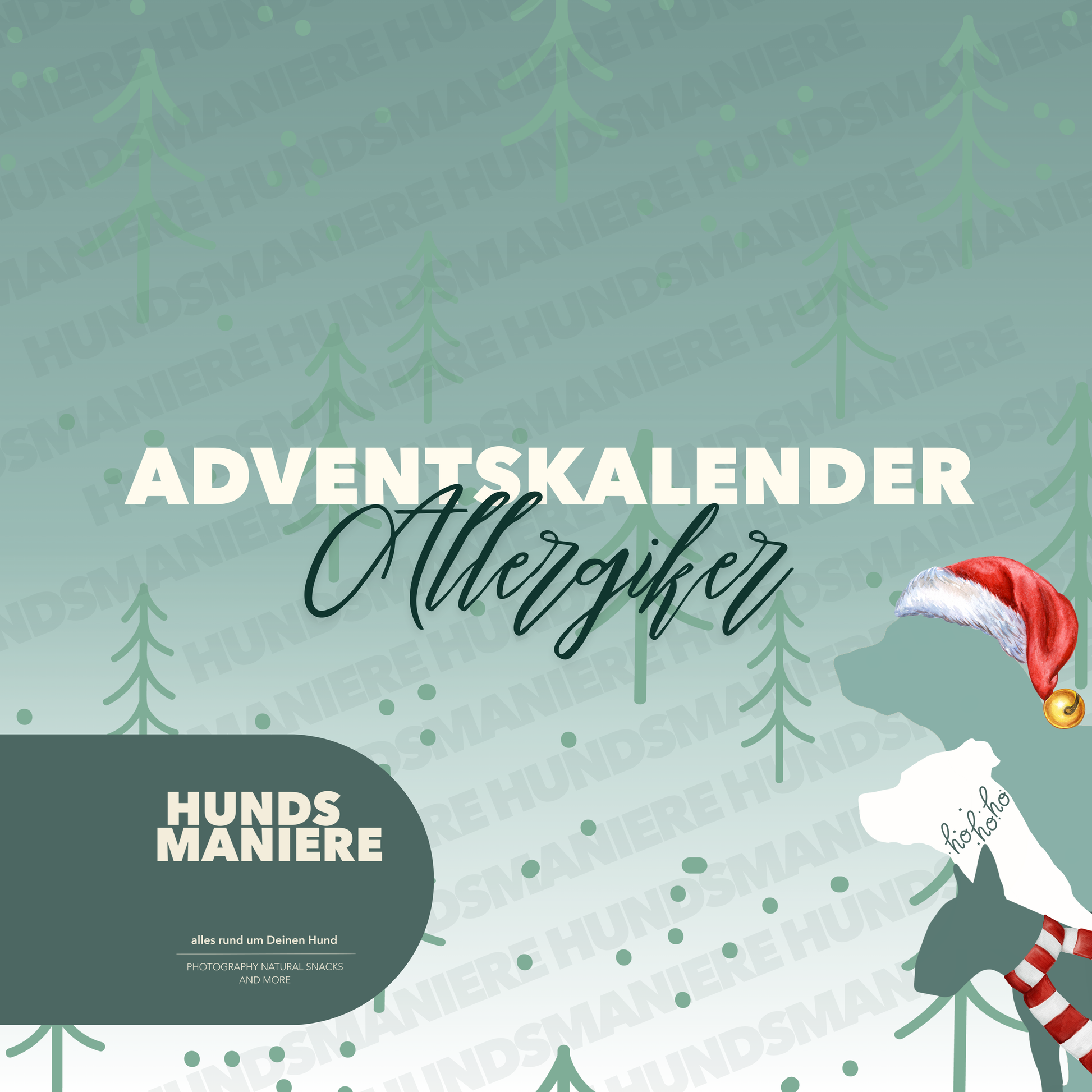 Adventskalender 🎄 Hypoallergen - LIMITED EDITION ✨