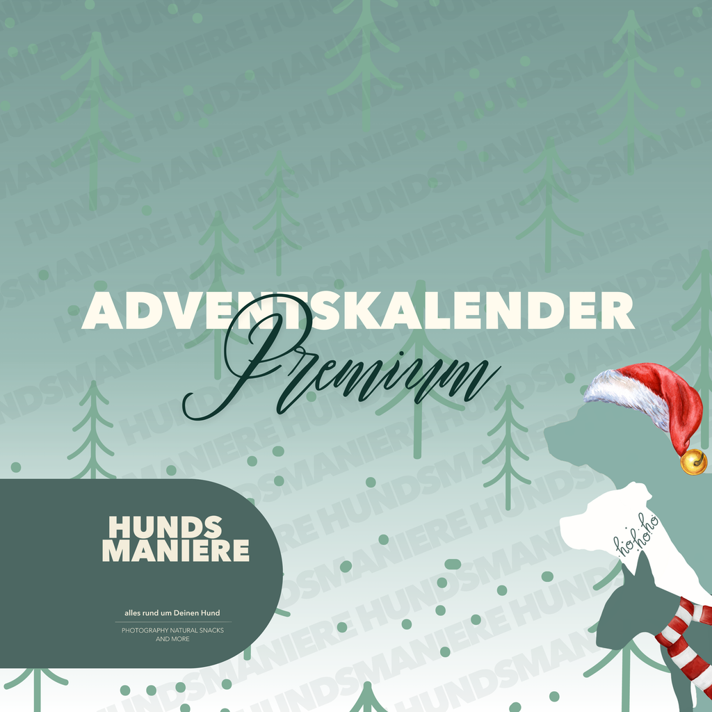 Adventskalender 🎄 Premium - LIMITED EDITION ✨