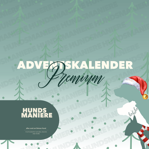 Adventskalender 🎄 Premium - LIMITED EDITION ✨