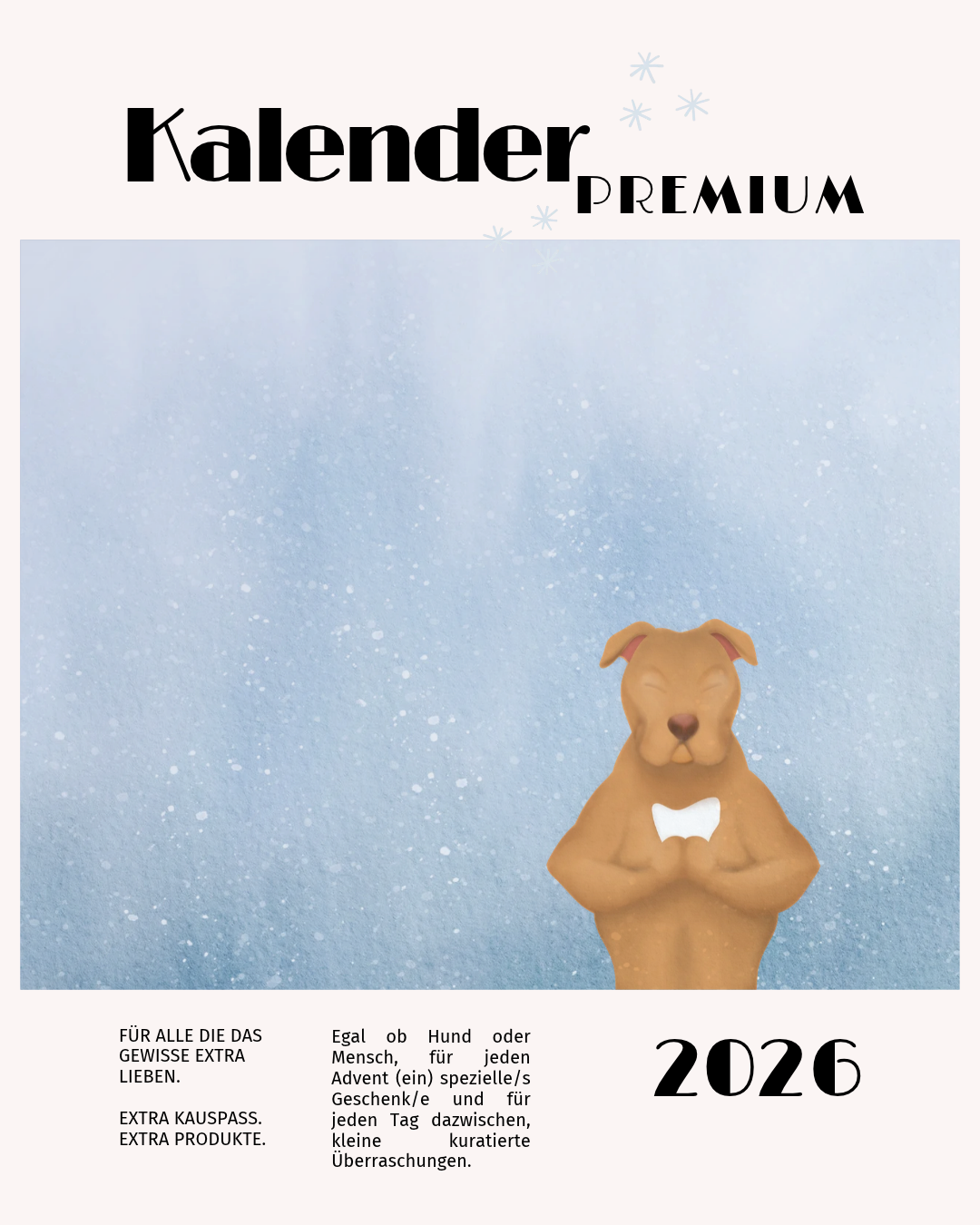 Adventskalender Premium 2026 - LIMITED EDITION ✨