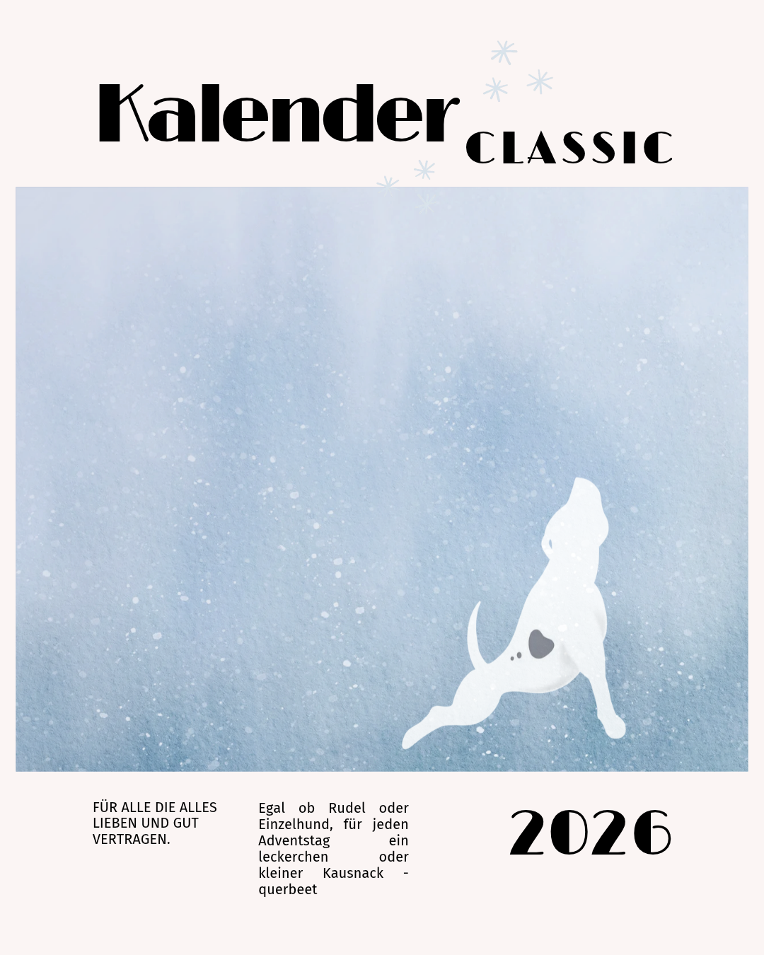 Adventskalender Classic 2026 - LIMITED EDITION ✨