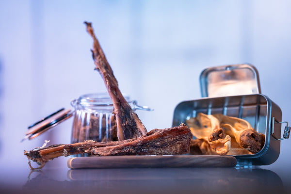 Tendon du cou du cerf
