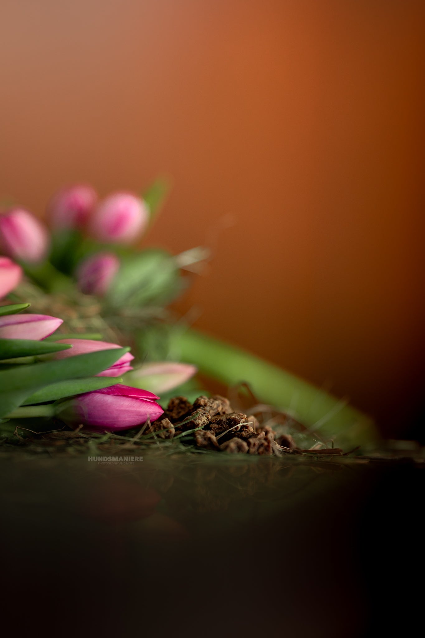 Mini cubes de venaison