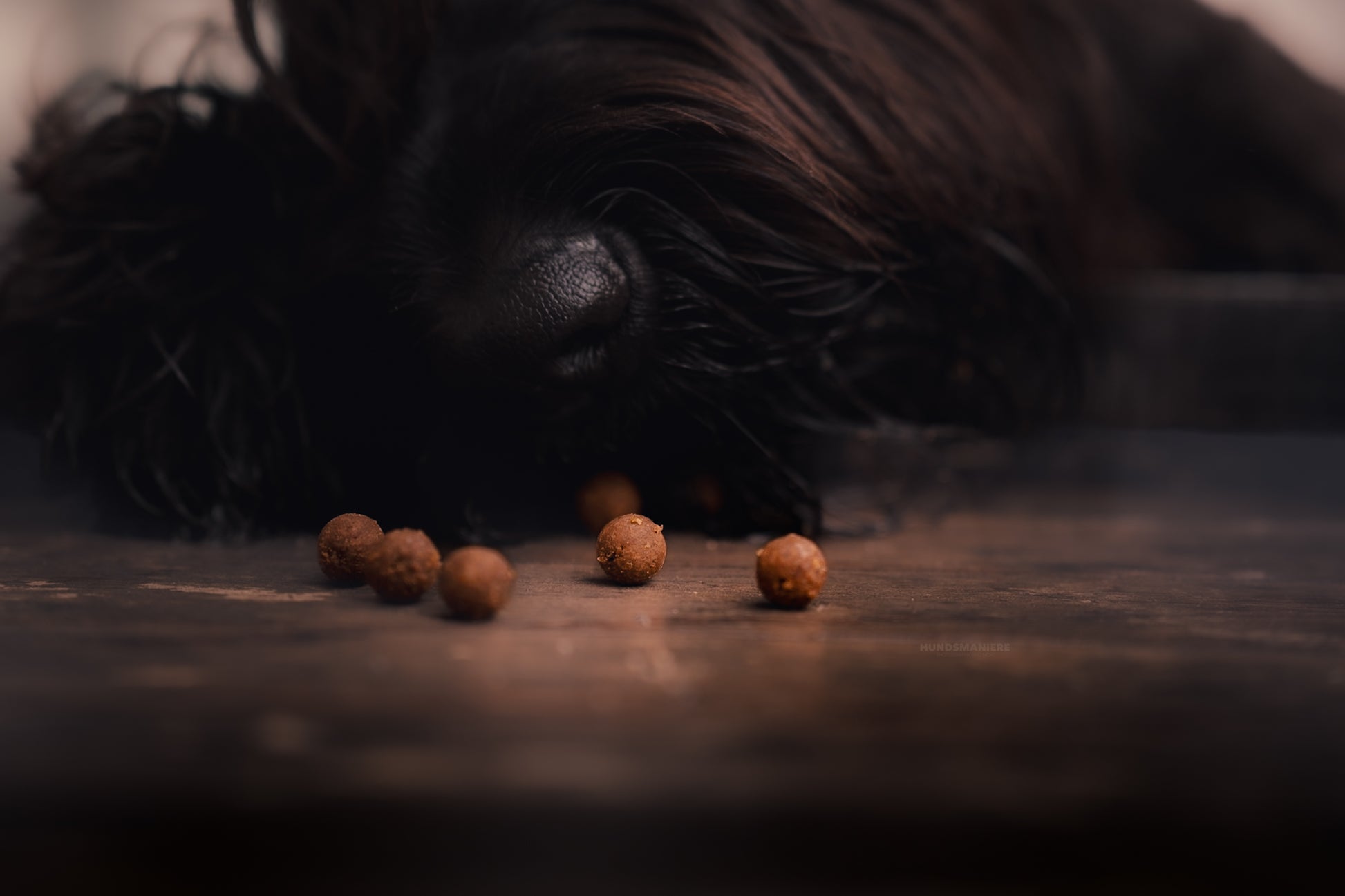 SOFT BITES Pferd | Monoprotein Pferd