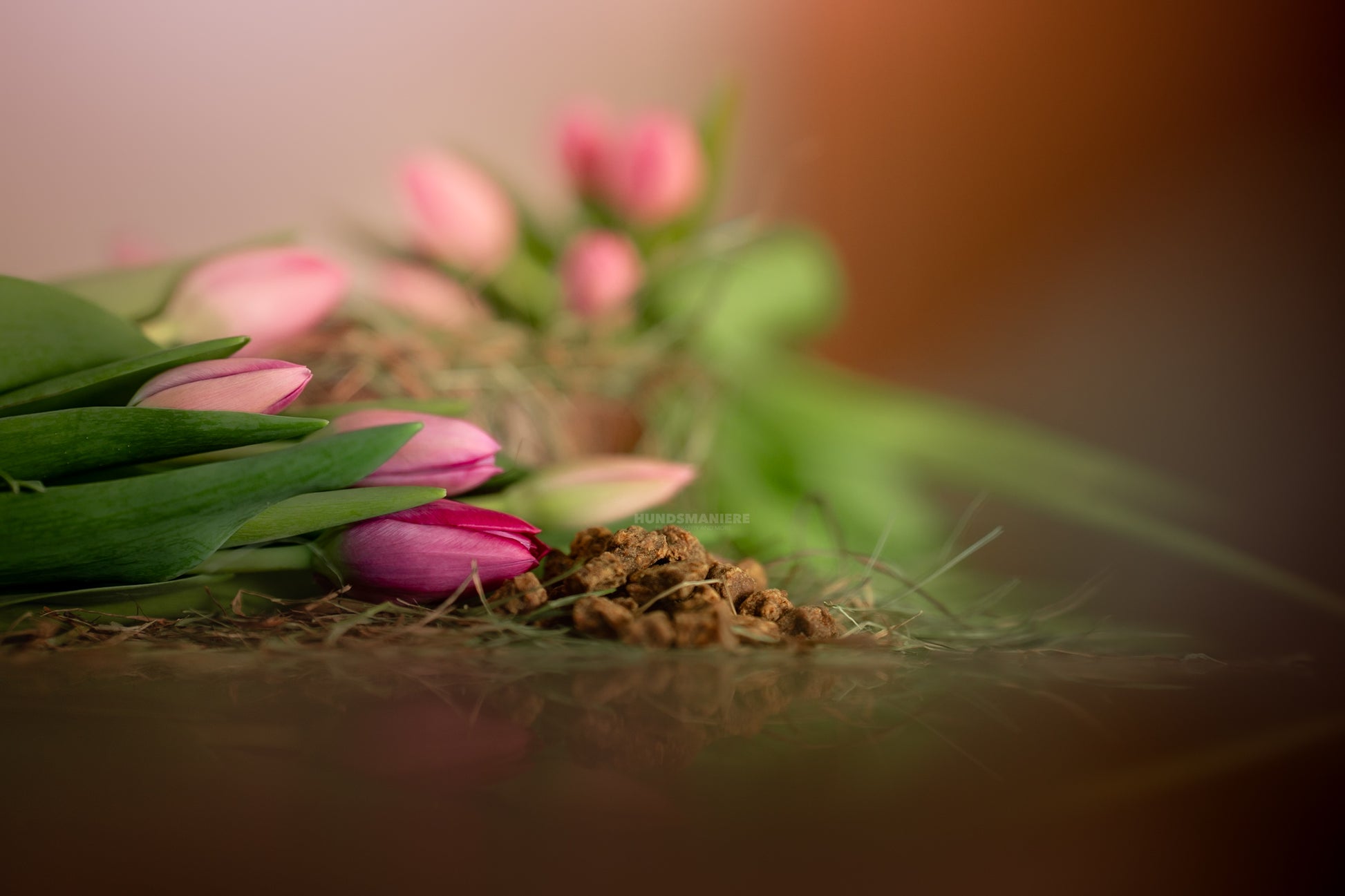 Mini cubes de venaison