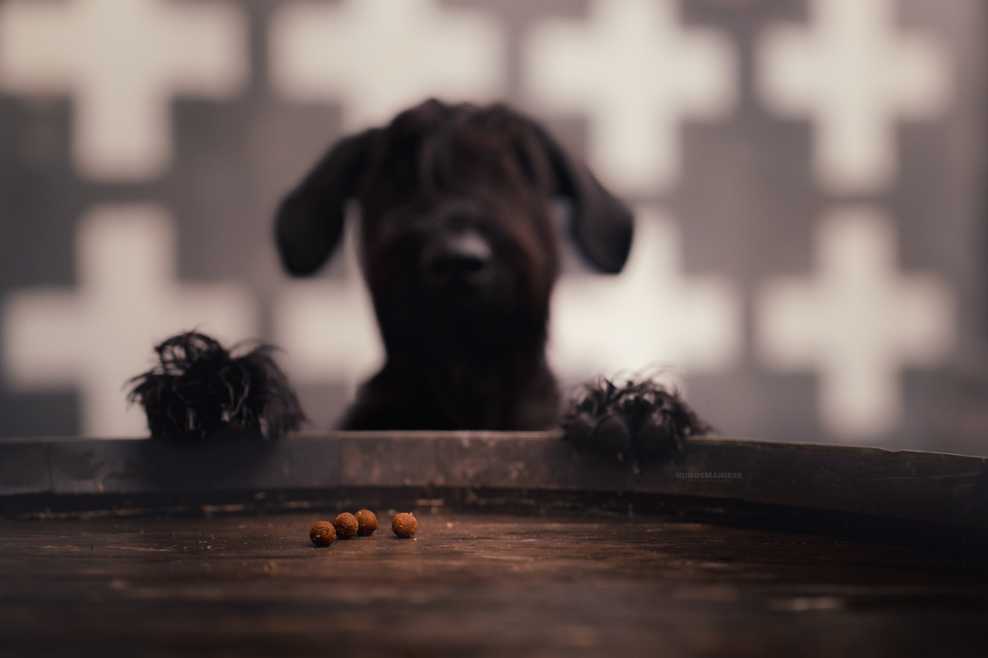 SOFT BITES Pferd | Monoprotein Pferd