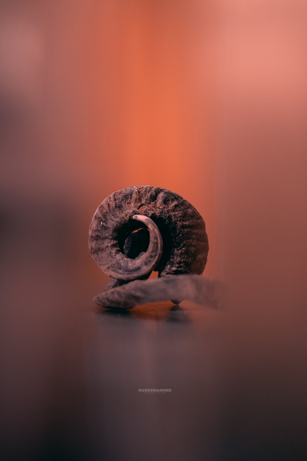 Mini cubes de venaison