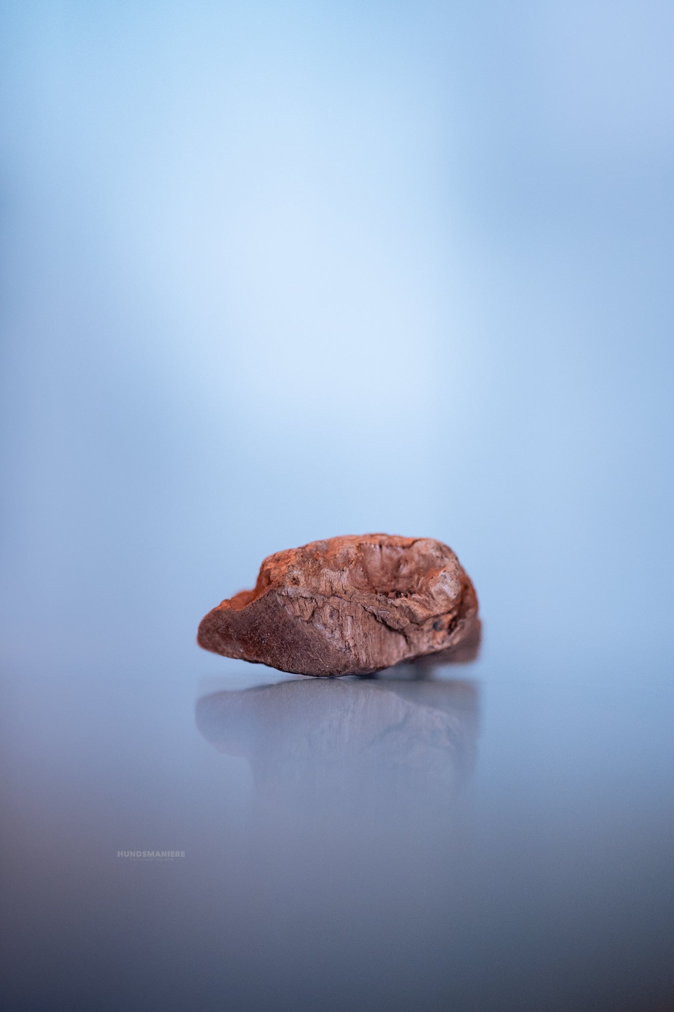 Kauwurzel aus mediterranem Holz