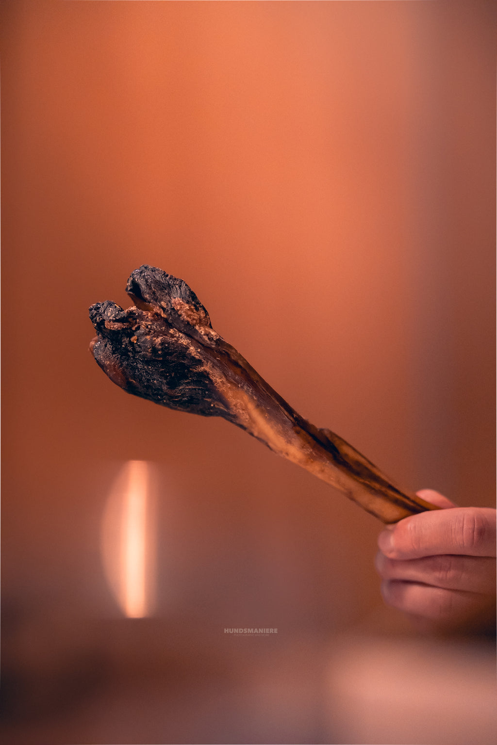 Ochsenziemer mit Wurzel