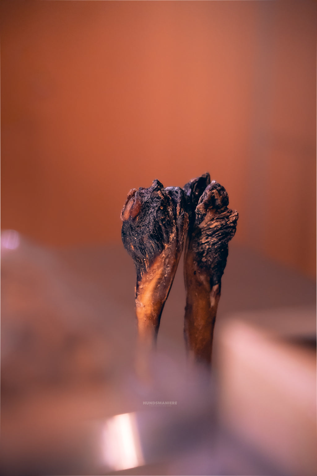 Ochsenziemer mit Wurzel