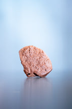 Kauwurzel aus mediterranem Holz
