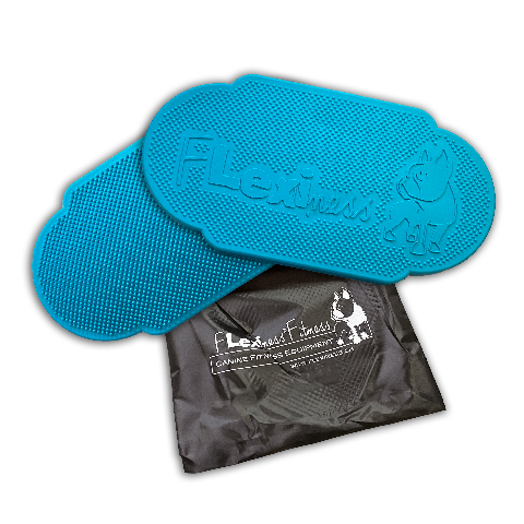 TWINDISC - blue | Stabilität, Koordination & Physiotraining