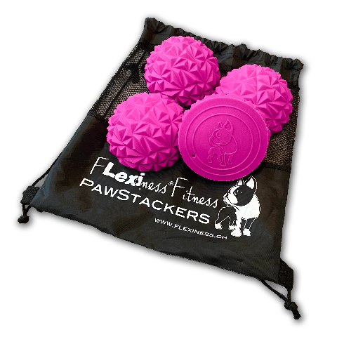 PAWSTACKERS – pink | Koordination, Stabilität & Physiotraining