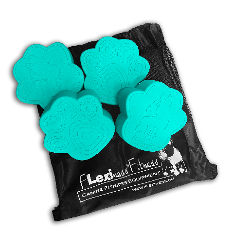 TOYPAWDISCS | Balance, Koordination & Physiotraining (4er Set)