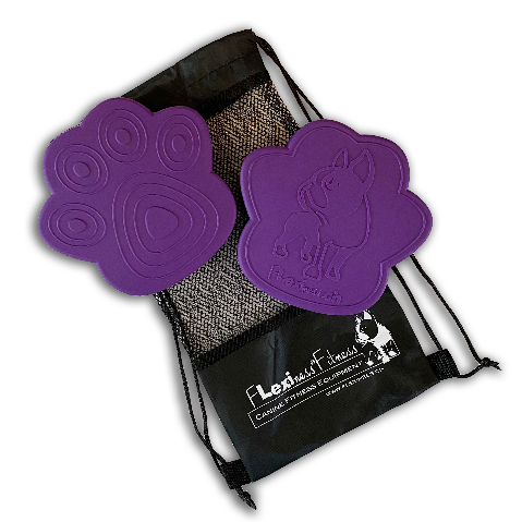 TOYPAWDISCS | Balance, Koordination & Physiotraining (4er Set)