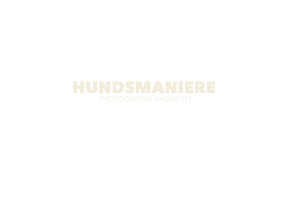 Hundsmaniere