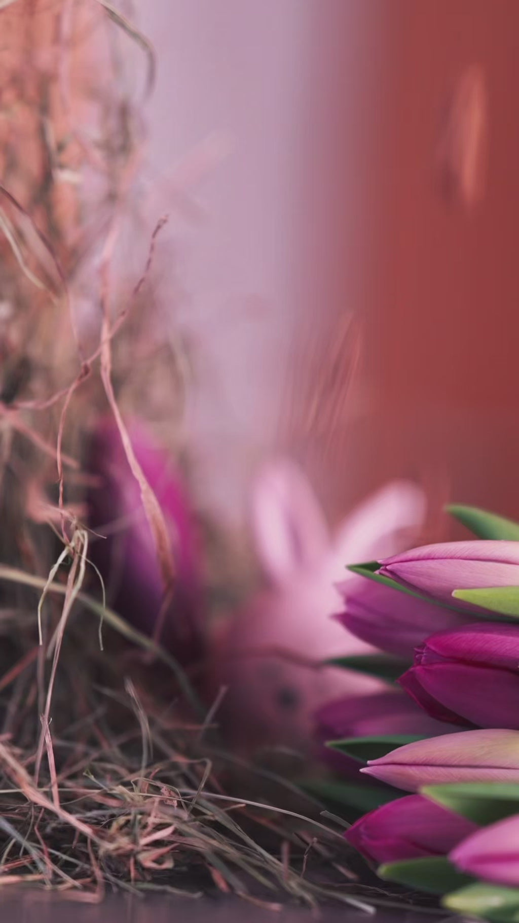 Oster-Chörbli Lämmli 🐑